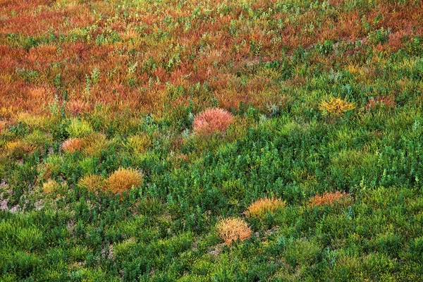 Paisaje Toscana Paisaje Italia — Foto de Stock