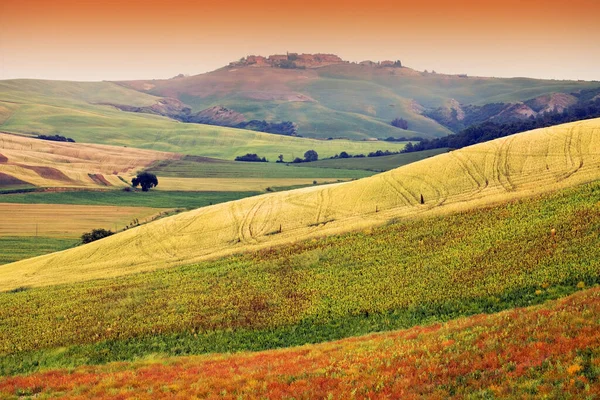 Sommerlandschaft Der Toskana Italien — Stockfoto