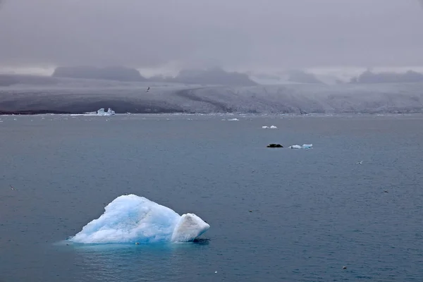 Lagoa Jokulsarlon Islândia Europa — Fotografia de Stock