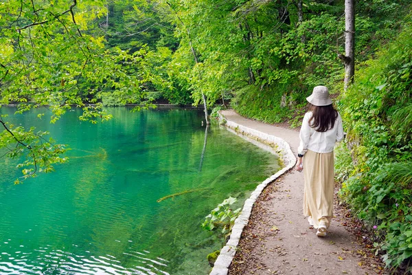 Jóvenes Viajeras Caminando Por Senderos Madera Parque Nacional Los Lagos — Foto de Stock