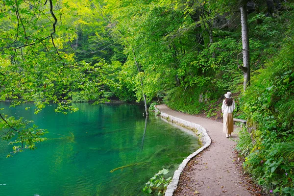 Plitvice Lakes Ulusal Parkı Unesco Nun Doğal Mirası Hırvatistan Ünlü — Stok fotoğraf