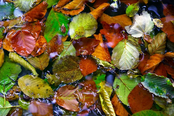 Detalhes Naturais Água Abstrata Parque Nacional Plitvice Croácia Europa — Fotografia de Stock