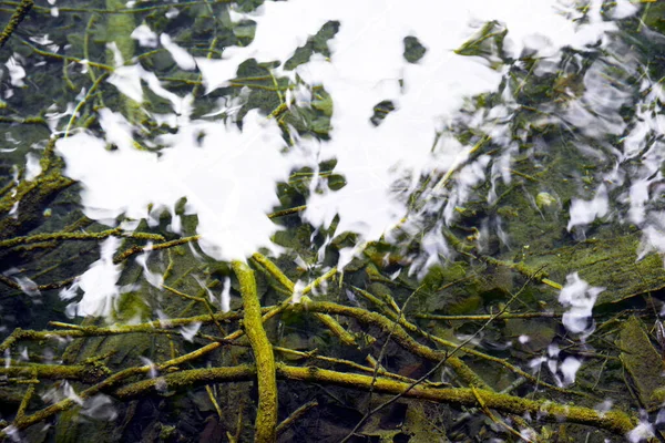 Detalles Naturales Del Agua Abstracta Parque Nacional Plitvice Croacia Europa —  Fotos de Stock