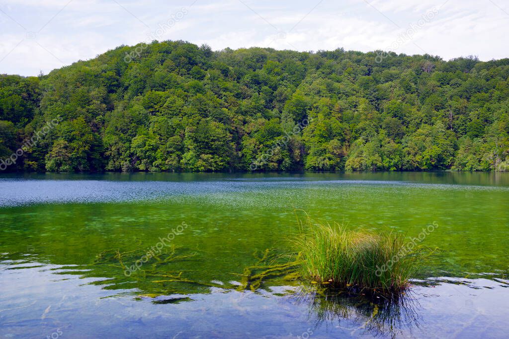 Summer landscape in Plitvice National Park, Croatia, Europe