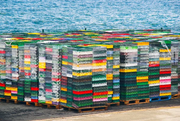 Yiyecek Depolamak Taşımak Için Renkli Boş Plastik Kutular — Stok fotoğraf