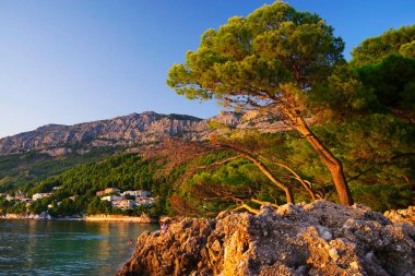 Adriyatik Denizi 'ndeki güzel Brela plajı Makarska Riviera, Dalmaçya, Hırvatistan
