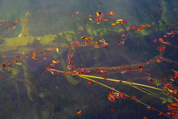 Abstract Water Natuurlijke Details Nationaal Park Plitvice Kroatië Europa — Stockfoto