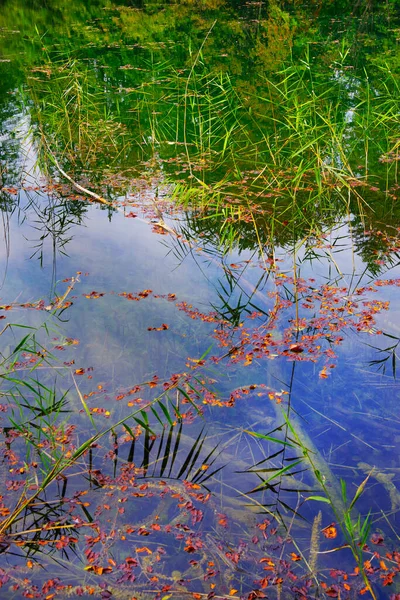 Park Narodowy Plitwickie Jeziora Chorwacja Europa — Zdjęcie stockowe