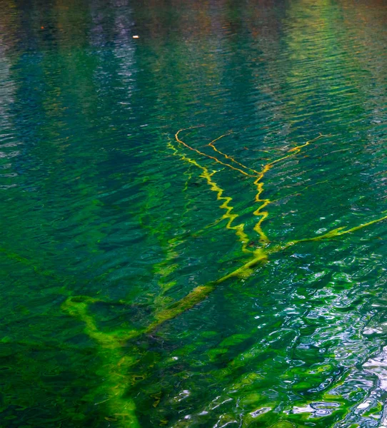 Abstract Water Natuurlijke Details Nationaal Park Plitvice Kroatië Europa — Stockfoto