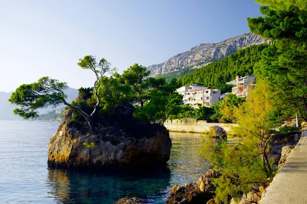 Adriyatik Denizi 'ndeki güzel Brela plajı Makarska Riviera, Dalmaçya, Hırvatistan