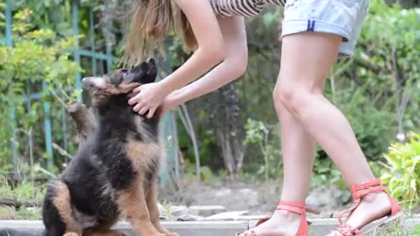 Девочка и домашнее животное. Молодая женщина тренирует щенка немецкой овчарки в саду . — стоковое видео