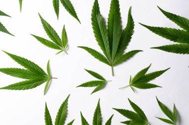 Esrar beyaz zemin üzerine bırakır. Üstten görünüm