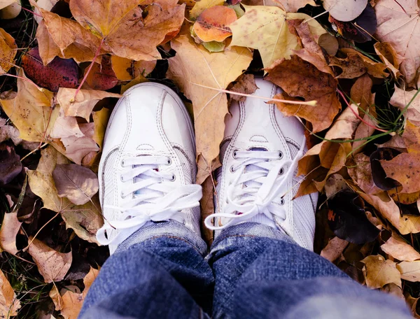 Белая спортивная обувь в осенних листьях. Фон хипстера осеннего сезона — стоковое фото