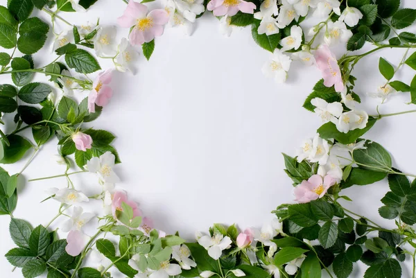 Güller ve Yasemin çiçek arka plan. Romantik bahar Mevsimlik arka plan. Düz lay şablon. — Stok fotoğraf