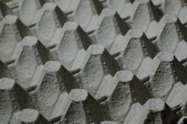 Boş yumurta tepsiyi kapatın. Yumurta için kağıt paketi