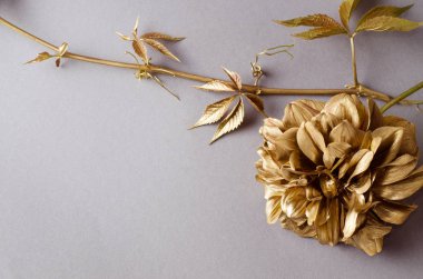 Gri zemin üzerine altın büyük dahlia boyalı.