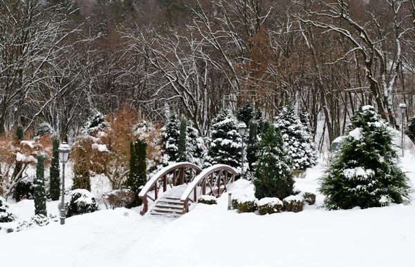 City park télen, kerttervezés, kerti bridge és a fenyők. Fák és cserjék a fehér hó fedi. Tél téma háttér. — Stock Fotó