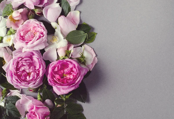 Çerçeve çiçek. Gül çiçek gri bir arka plan üzerinde. Düz yatıyordu