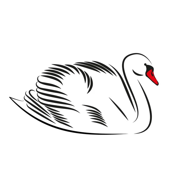 Sílhueta vectorial minimalista de cisne isolada sobre fundo branco . — Vetor de Stock