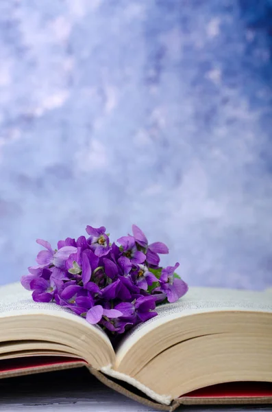 Fundo romântico vintage com livro velho, flores violetas e espaço de cópia . — Fotografia de Stock