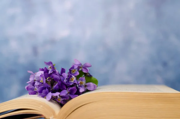Eski kitap, menekşe çiçekler ve kopya alanı ile Vintage romantik arka plan. — Stok fotoğraf