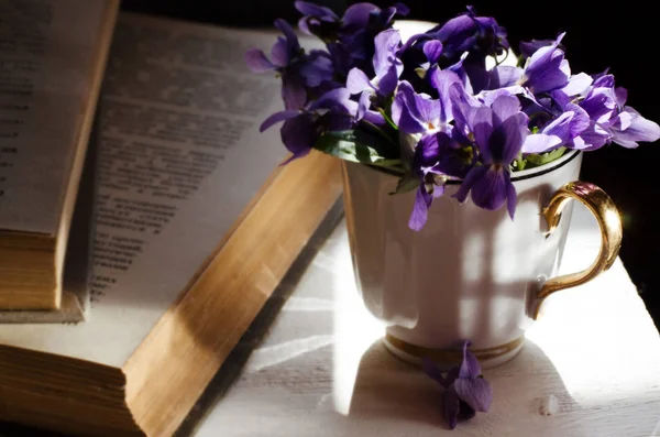 Still life with violet in white cup, old books. Romantic spring floral background. — Stock Photo, Image