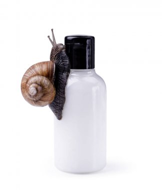 Skin care cosmetics with Snail mucus. One black snail climbing on a cosmetic cream or lotion bottle against white. clipart
