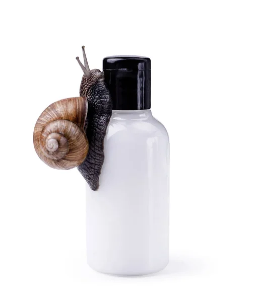 Cosméticos para el cuidado de la piel con moco de caracol. Un caracol negro trepando en una crema cosmética o una botella de loción contra el blanco . — Foto de Stock