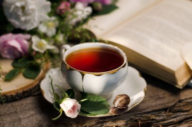 Eski bir porselen çay bardağı, taze küçük gül, salyangoz ve kitap ile Vintage hala hayat.