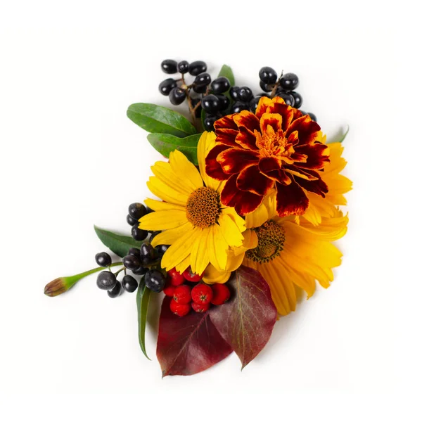 Sarı papatyalar, kırmızı sonbahar yaprakları ve çilek Çiçek kompozisyonu. Beyaz arka plan üzerinde sonbahar kompozisyonu. — Stok fotoğraf