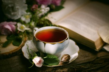 Eski bir porselen çay bardağı, taze küçük gül, salyangoz ve kitap ile Vintage hala hayat.