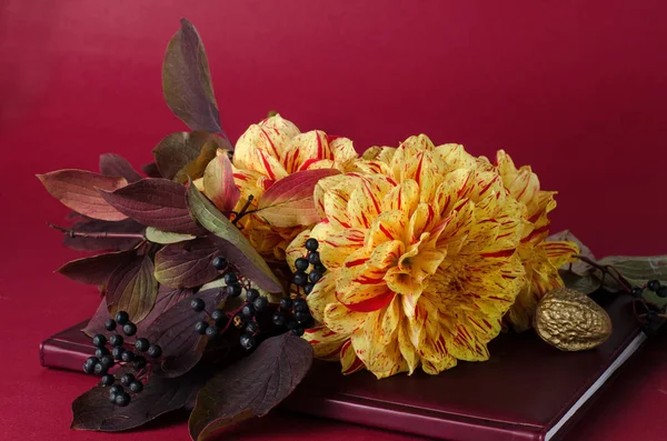 Mor arka plana karşı bir dizüstü bilgisayar üzerinde parlak sarı dahlias. Sonbahar, sonbahar romantik kavramı.