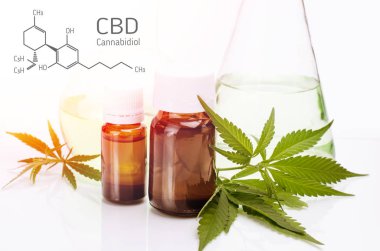 Cbd Yapısal Formülü. Tıbbi, esrar yaprakları ile kimyasal tema, yağ şişesi ve laboratuvar cam şişeleri arkasında beyaz.