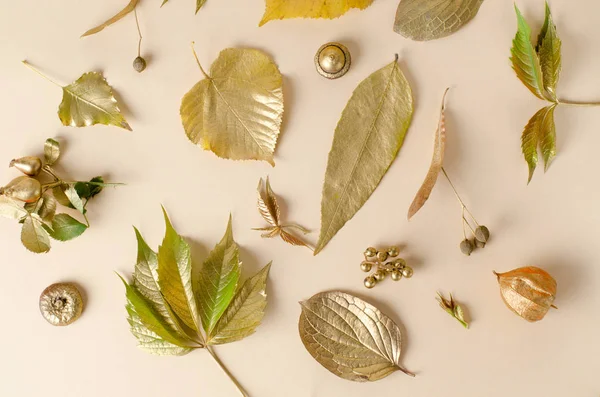 Luminose foglie d'autunno dorate, mele selvatiche e fiori di physalis su uno sfondo bianco. Bella cornice autunnale. Foto vista dall'alto . — Foto Stock