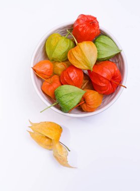 Beyaz arka plan karşı bir tabakta çok renkli physalis çiçekler. Olgun kırmızı physalis çiçekli şablon.
