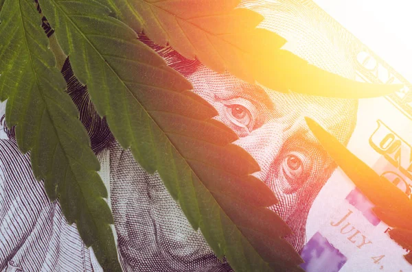 Foto de cerca de las hojas de cannabis sobre las facturas del dólar de los Estados Unidos aisladas sobre fondo blanco . —  Fotos de Stock