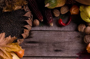 Parlak olgun balkabaklarıyla sonbahar kırsal çerçevesi, büyük kuru ayçiçeği, eski ahşap bir zeminde elma bıldırcınları ve fındıklar ve metin için boş alan.