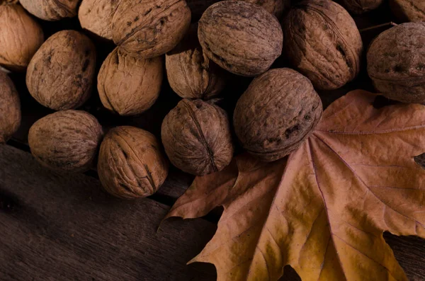 Herbstlicher Ländlicher Rahmen Mit Vielen Trockenen Walnüssen Und Gelbem Ahornblatt — Stockfoto