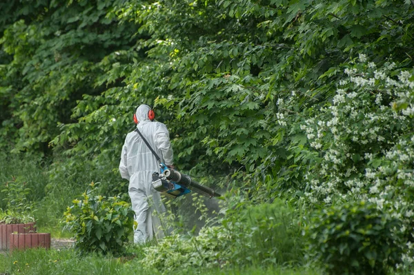 Man in the white protective suit and mask makes disinfection of the public garden from ticks, mites, and mosquitoes by spraying repellent poison.