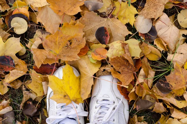 Białe Buty Sportowe Jesiennych Liściach Jesienny Sezon Hipster Tle — Zdjęcie stockowe