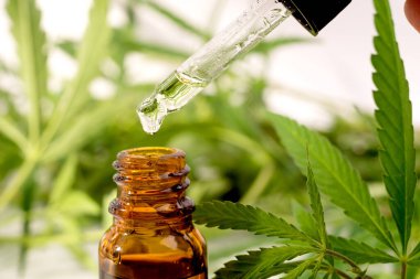 Beyaz arka planda taze kenevir yapraklarına karşı kenevir yağıyla şişeyi kapat..