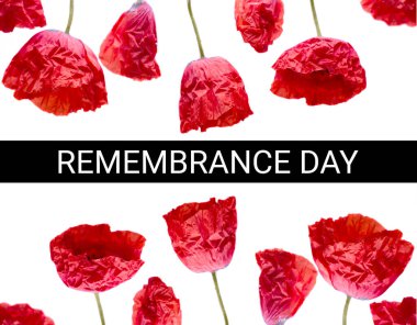 Haşhaş fotoğrafını ve konsept afişini unutmamak için. Anzak günü aynı zamanda ateşkes günüdür..