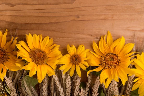 Ηλιοτρόπια Ξύλινο Ρουστίκ Τραπέζι Φωτεινά Κίτρινα Καλοκαιρινά Λουλούδια Χώρο Αντιγραφής — Φωτογραφία Αρχείου