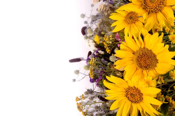 Ηλιοτρόπια Και Άνθη Βοτάνων Λευκό Φόντο Φωτεινά Κίτρινα Καλοκαιρινά Λουλούδια — Φωτογραφία Αρχείου