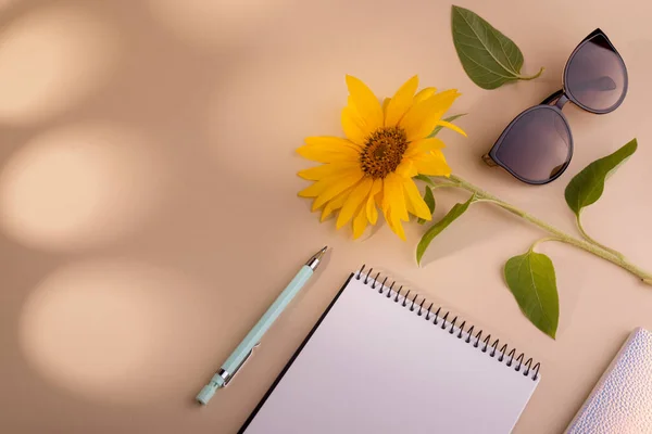 Moda Flat Lay Com Notebook Óculos Sol Girassol Caneta Contra — Fotografia de Stock