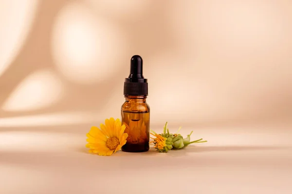 Botella Cosmética Oscura Aceite Aromático Para Medicina Herbal Con Flor —  Fotos de Stock