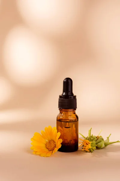 Botella Cosmética Oscura Aceite Aromático Para Medicina Herbal Con Flor —  Fotos de Stock