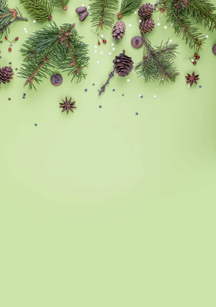 Yılbaşı Mutlu Yeni Yıl Sancakları Firavun Ağacı Dalları Böğürtlenler Küçük — Stok fotoğraf