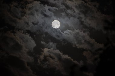 Gece bulutlu gökyüzü ve dolunay olan bir arka plan. Cadılar Bayramı Ürkütücü gece arkaplanı.