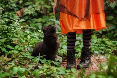 Cadılar Bayramı 'nda küçük kız bacaklarının yanında oturan kabarık tüylü kedi siyah çizmeli tayt ve deri çizmeler giyiyor. Hslloween yaşam tarzı fotoğrafı.